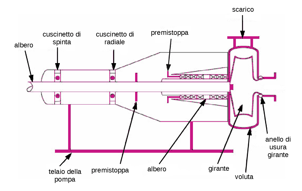 Rappresentazione schematica di una pompa centrifuga