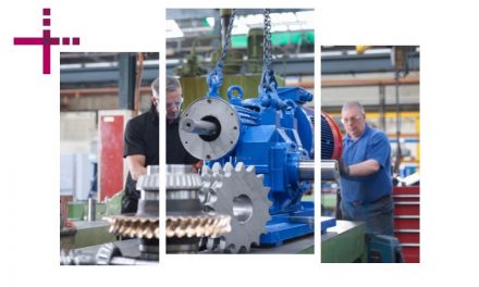 DIFFERENZE TRA LIMITATORI A SFERE E LIMITATORI A FRIZIONE